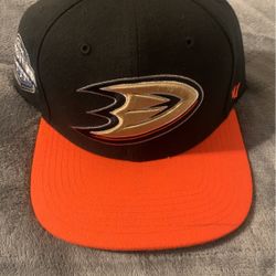 Anaheim Ducks Snap Back