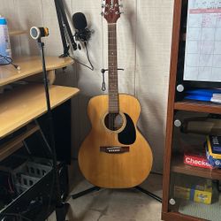 Guitar Takamine G Series