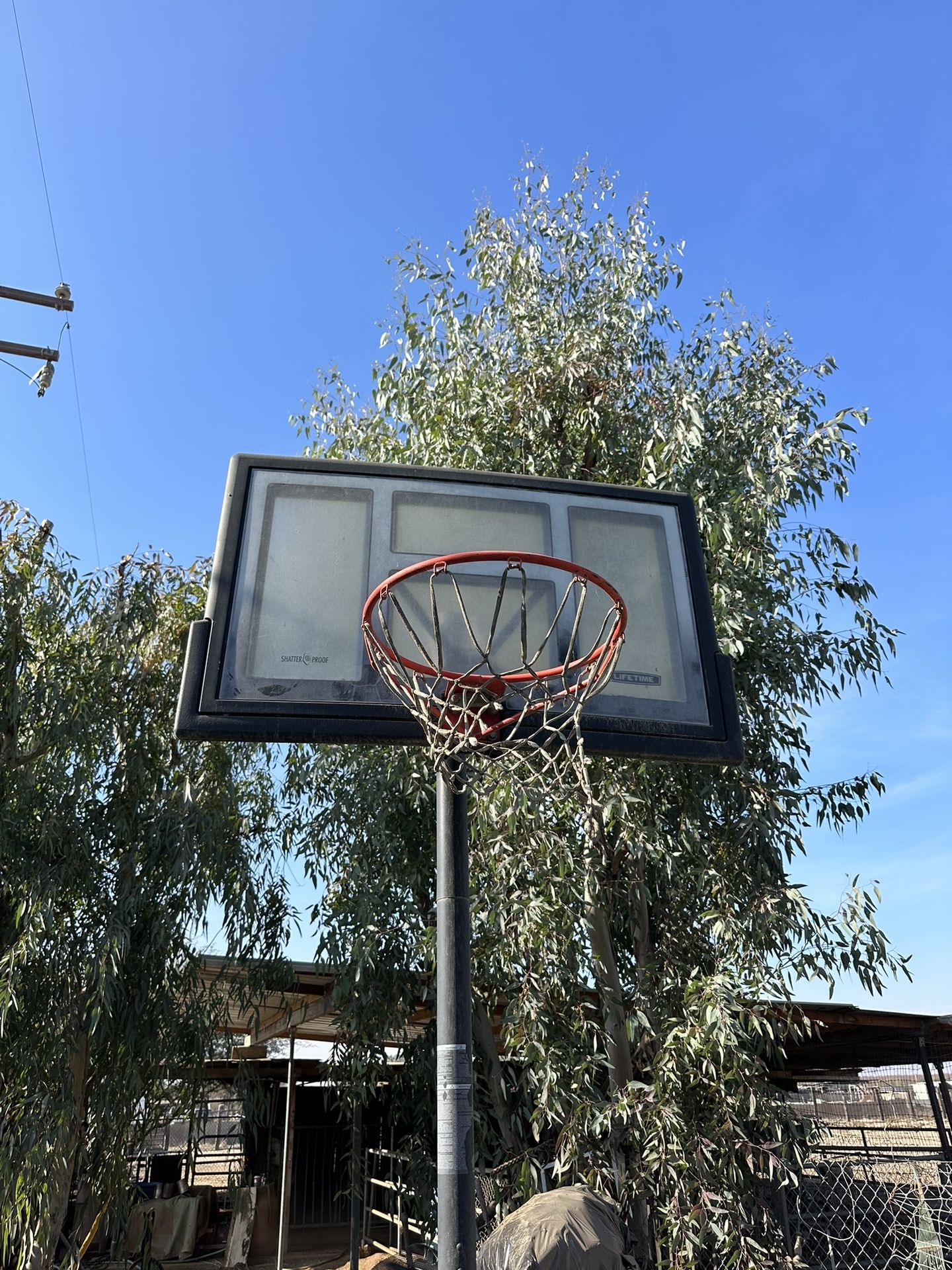 Lifetime Portable Basketball Hoop 