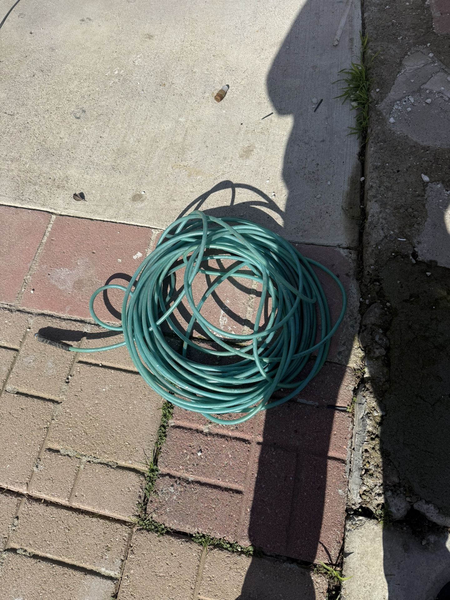 100ft Air Hose 