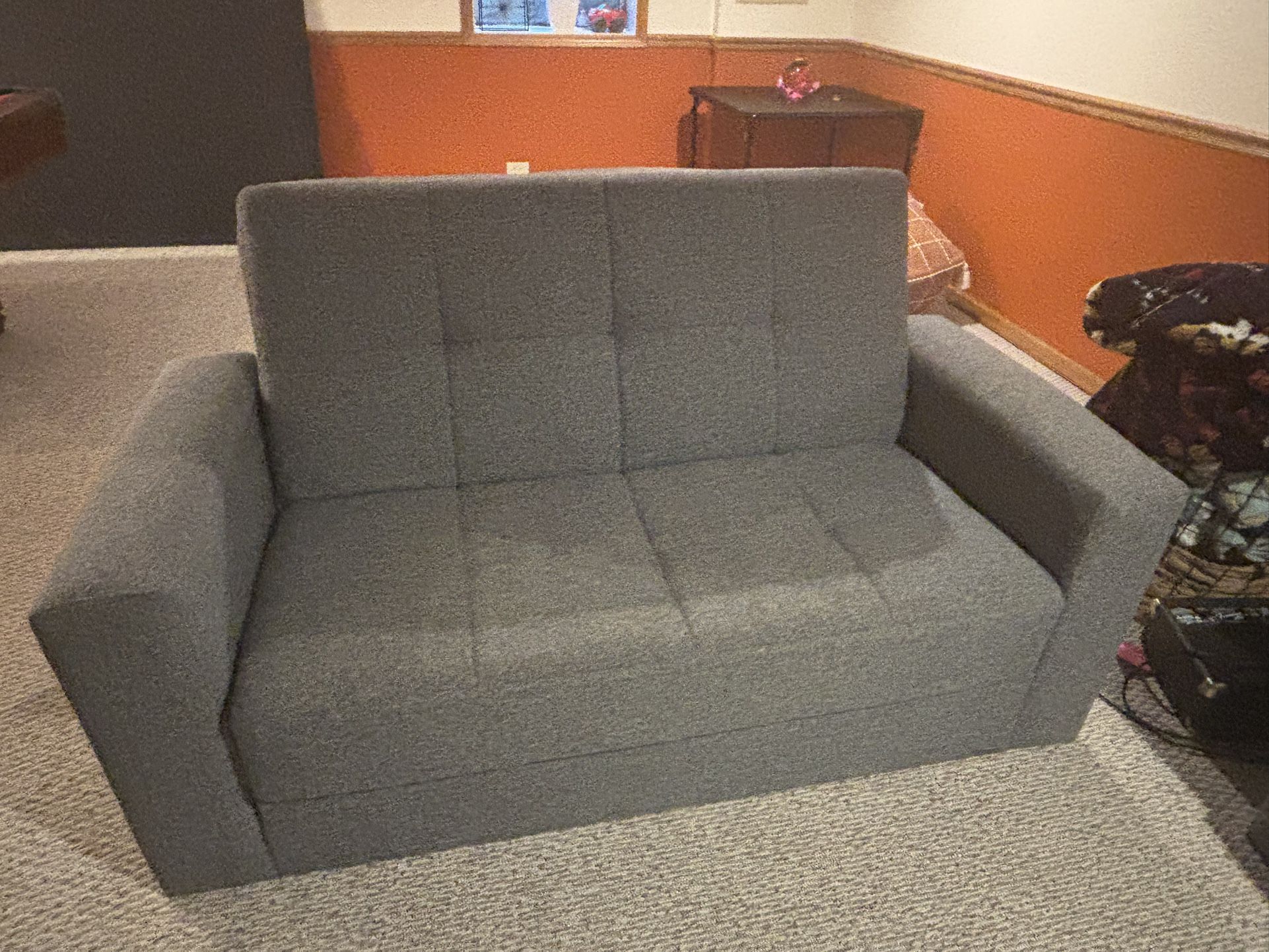 Couch/ Sleeping Sofa