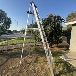 10ft Louisville Ladder 
