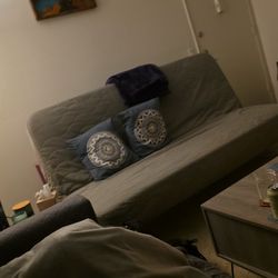Grey Minimalist Futon From Pet Free Home