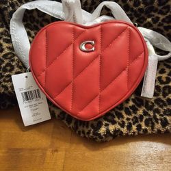 Coach QTD MINI HRT XBDY