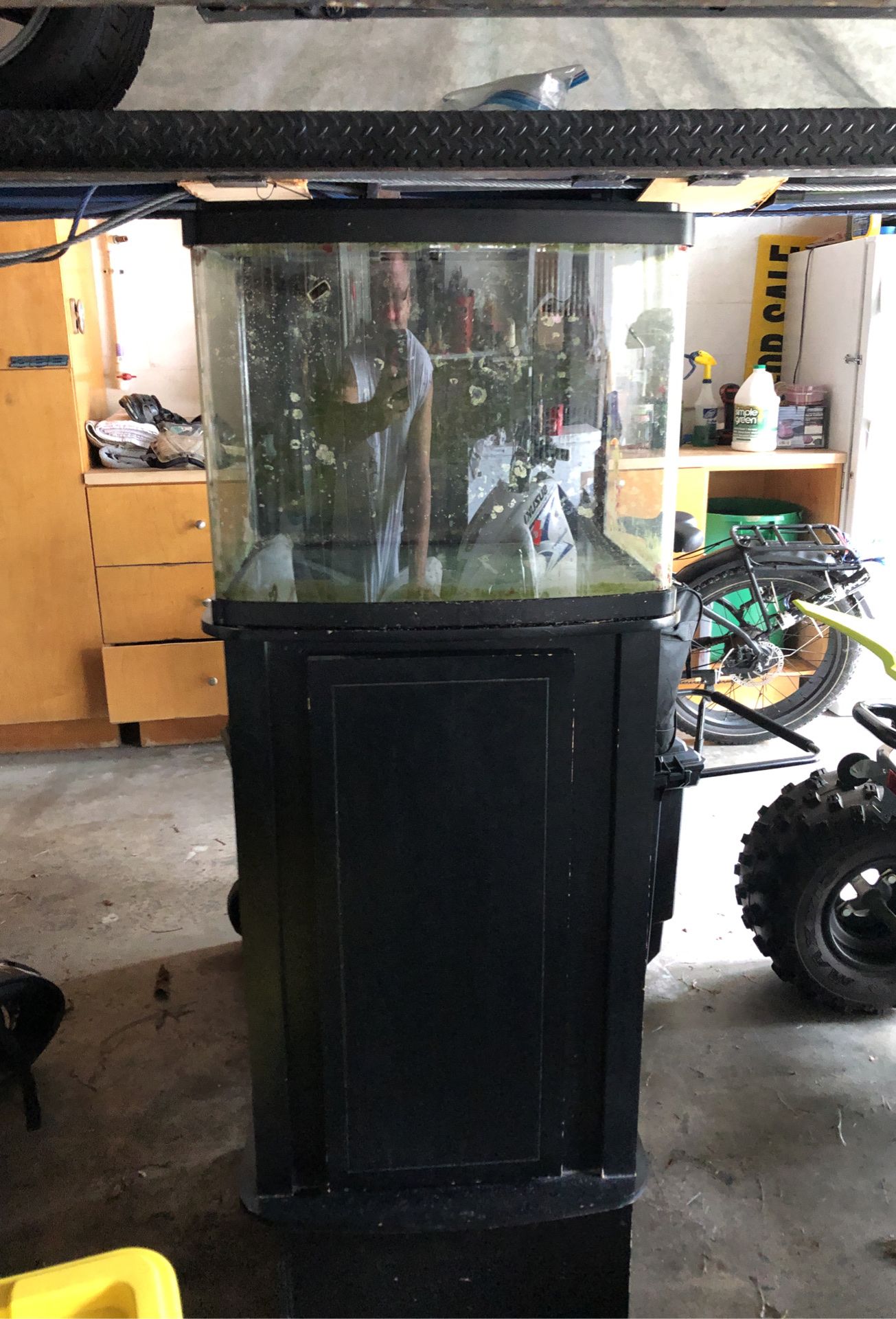 Aquarium 30 gallon bio cube