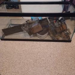 20 Gal Long Aquarium Fish Tank
