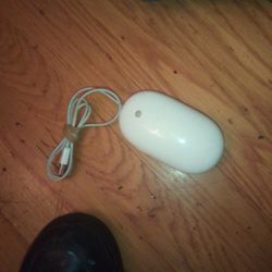 Apple Computer Mouse