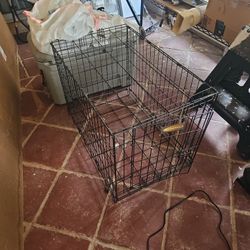 Dog Cage 