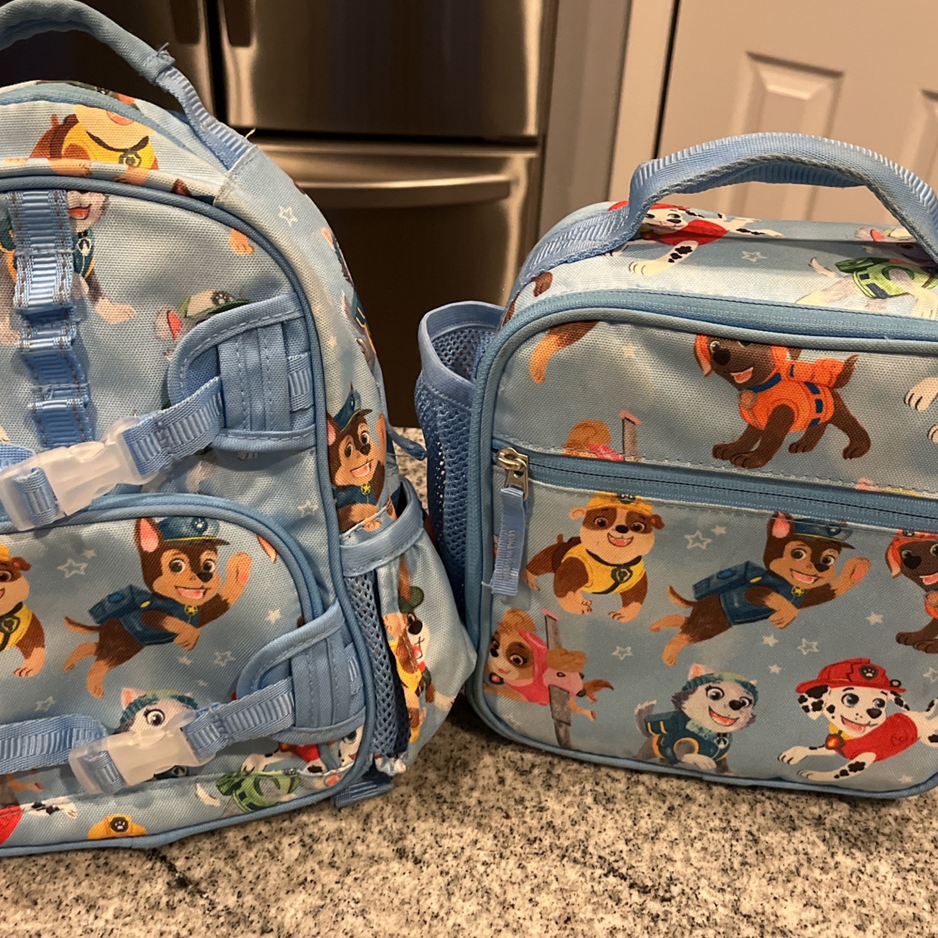 Pottery Barn Paw Patrol Mini Backpack And Lunchbox