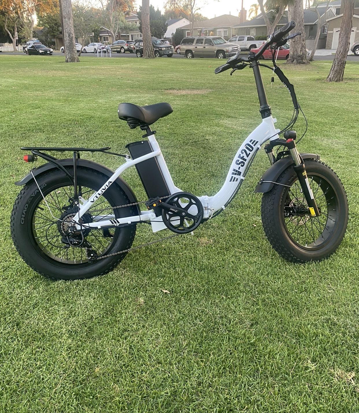 30MPH Step Through Electric Bike Fat Tire E Bike Electric Dirt Bike Electric Mountain Bike & Electric Scooters