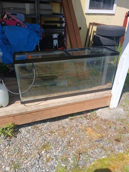 Fish tank