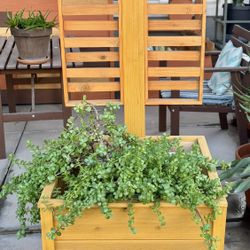 Cedar Planter With Solar Light & Trellis 