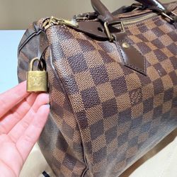 LV Speedy 30 Handbag