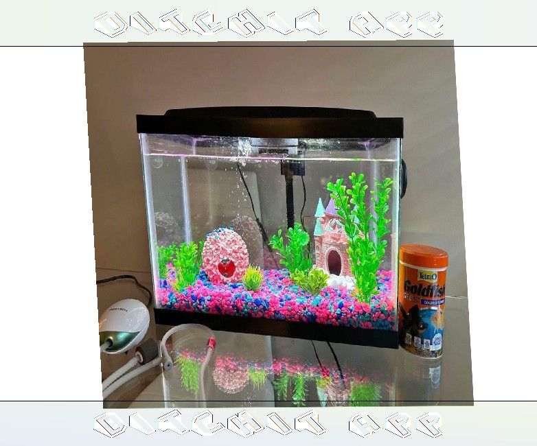 All-Set Aquarium Package - Discover Water World Magic how fine