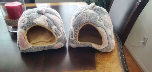 ​Guinea Pig Starter & Care Bundle – $40