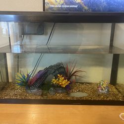 15 Gallon Fish Tang 