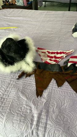 Sexy Pirate Costume