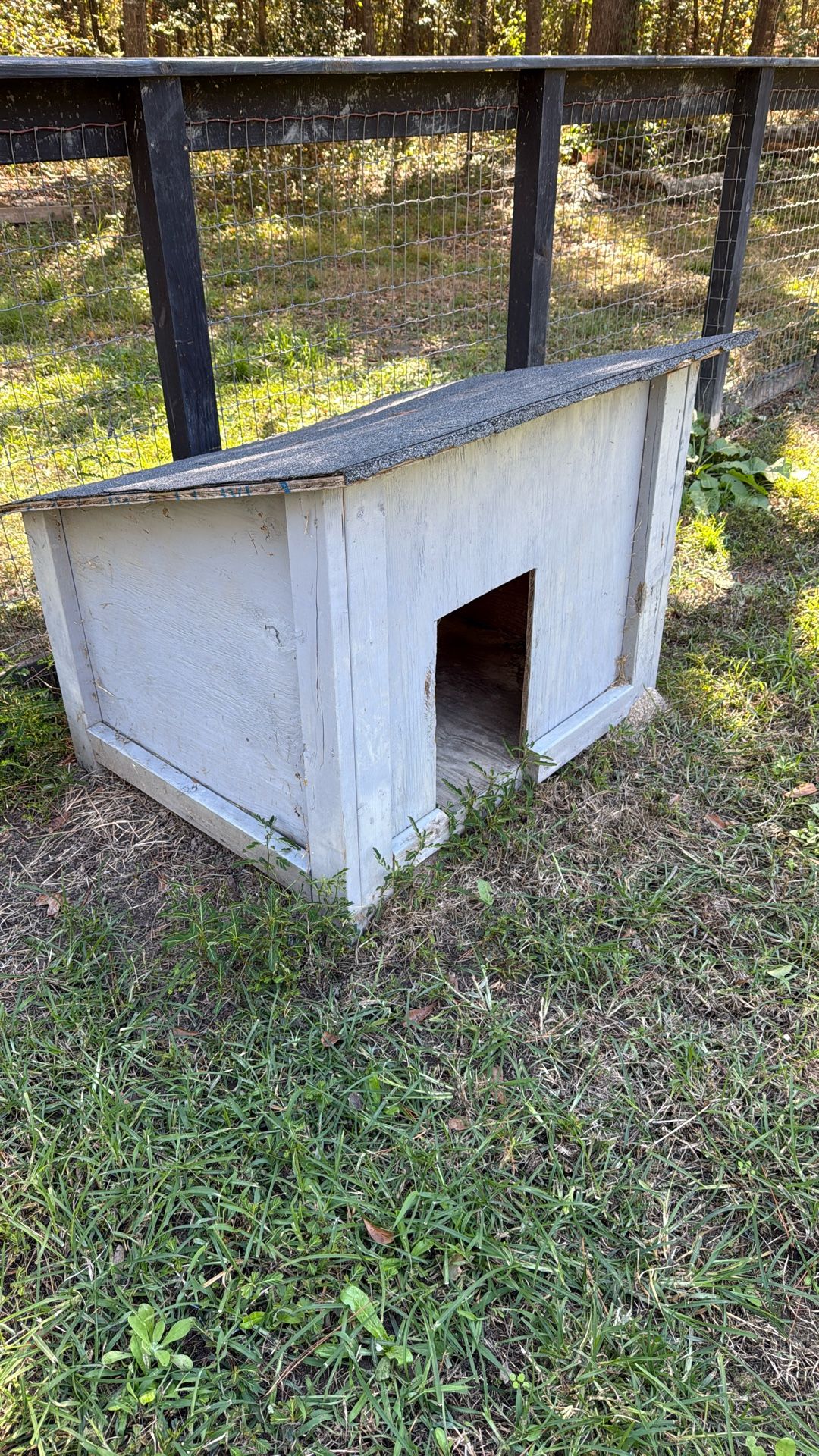 Dog House