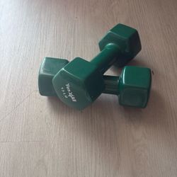 13 Lb Dumbbell (set Of 2) 