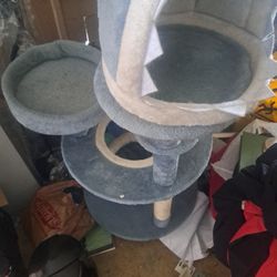 Cat Tower 