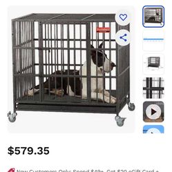 Heavy Duty Dog Case With Divider