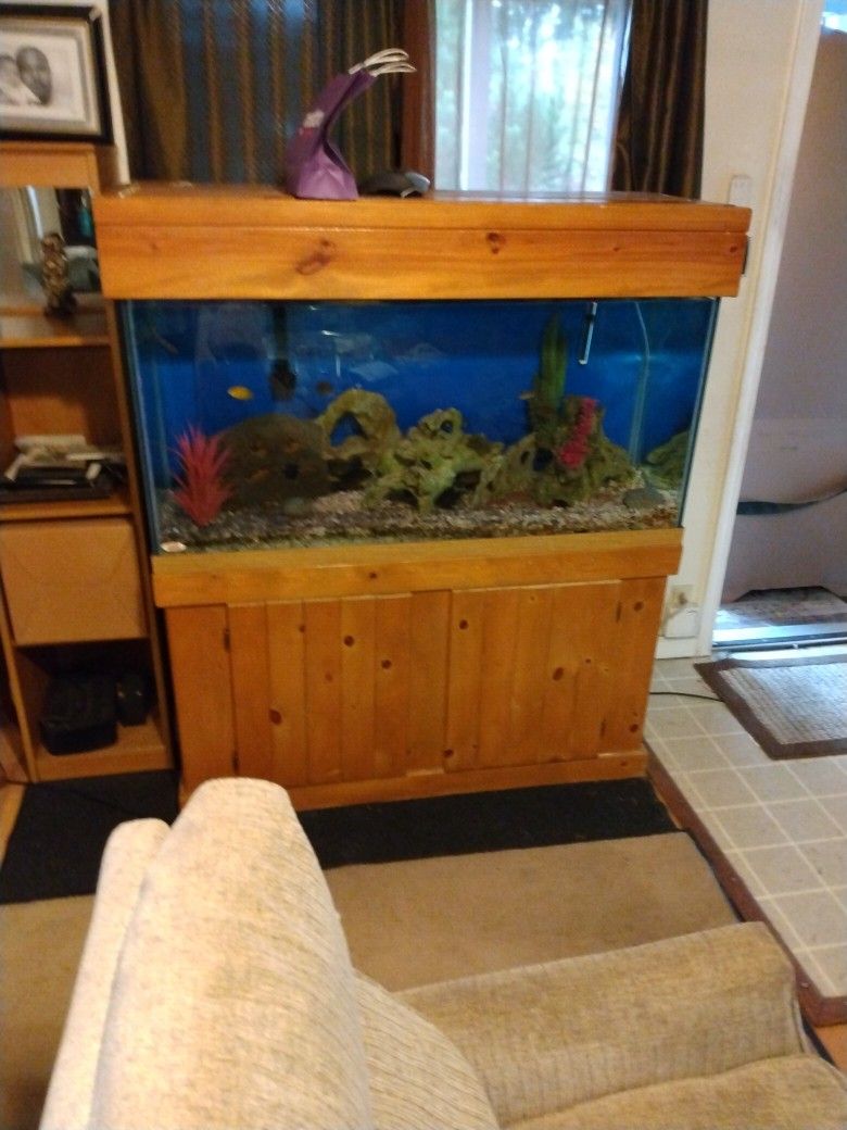 90 Gallon Fish Tank Everything Comes With It African Cichlids