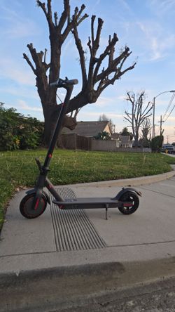 electric scooter