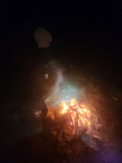 Firewood for sale