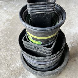 Free Seedling containers plastic pots lot - 20 count