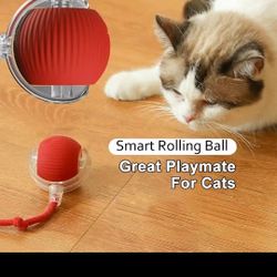 Automatic Cat/Dog Bowl