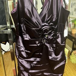 Dark Purple Dress Size 5XL