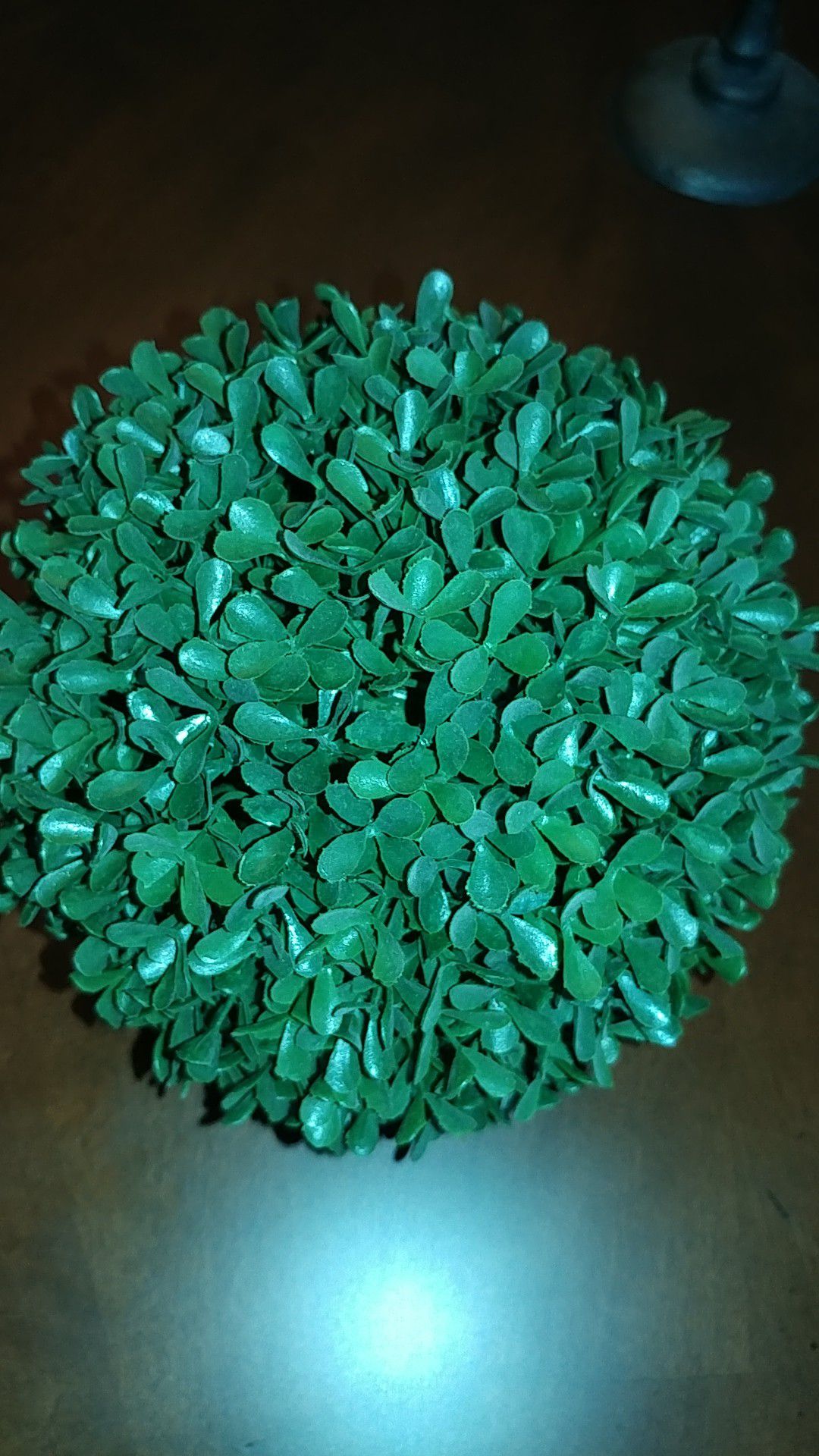 Green boxwood ball, good quality . 8" diameter