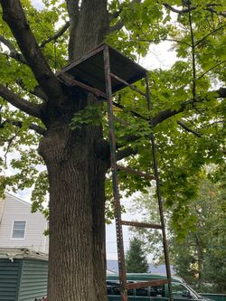 Tree ladder stand/Deer cart