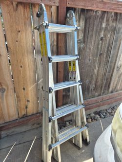 Cosco Ladder