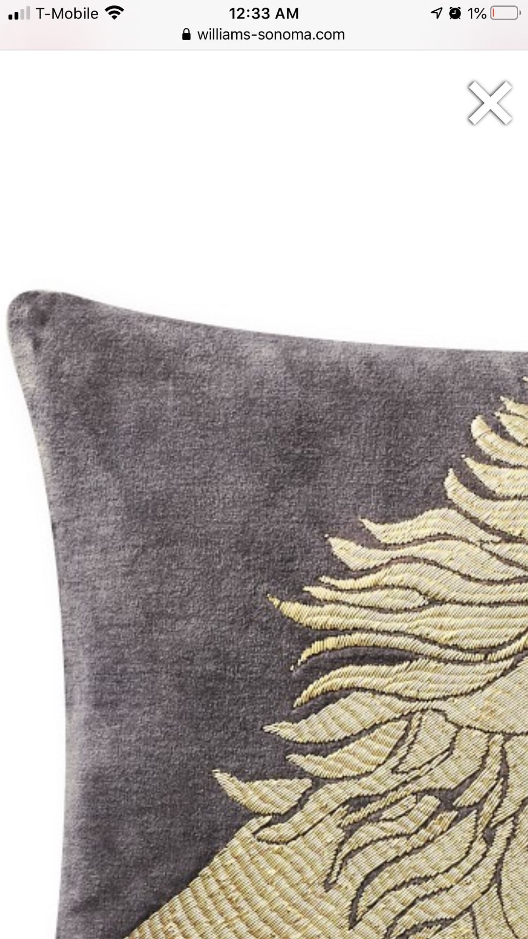William Sonoma pillow cover and matching feather pillow inner case