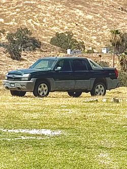 02 Chevy avalanche z66
