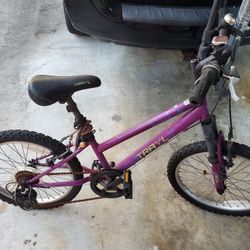 My Kid Outgrew so...Trayl 20" 6 Speed-excellent cared for ready to ride!!