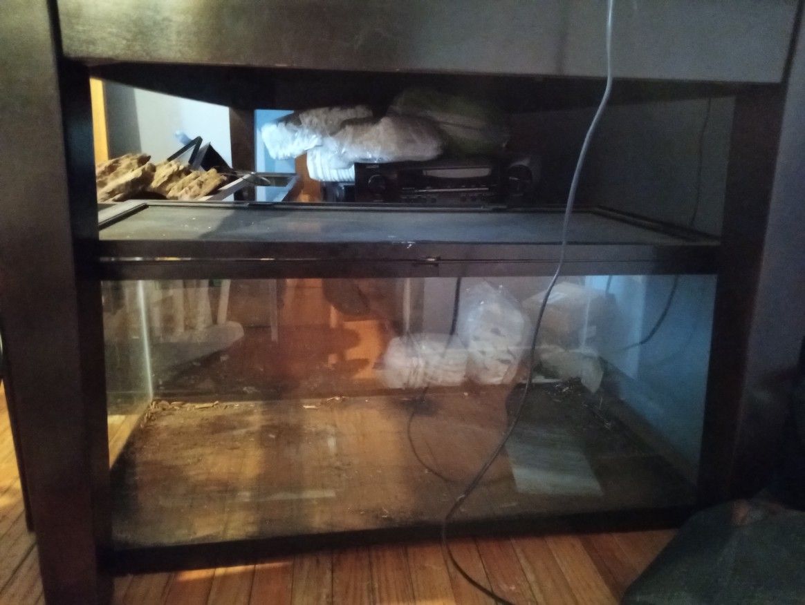 Reptile Tank