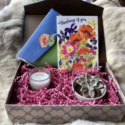 Gift Box With Live Succulent