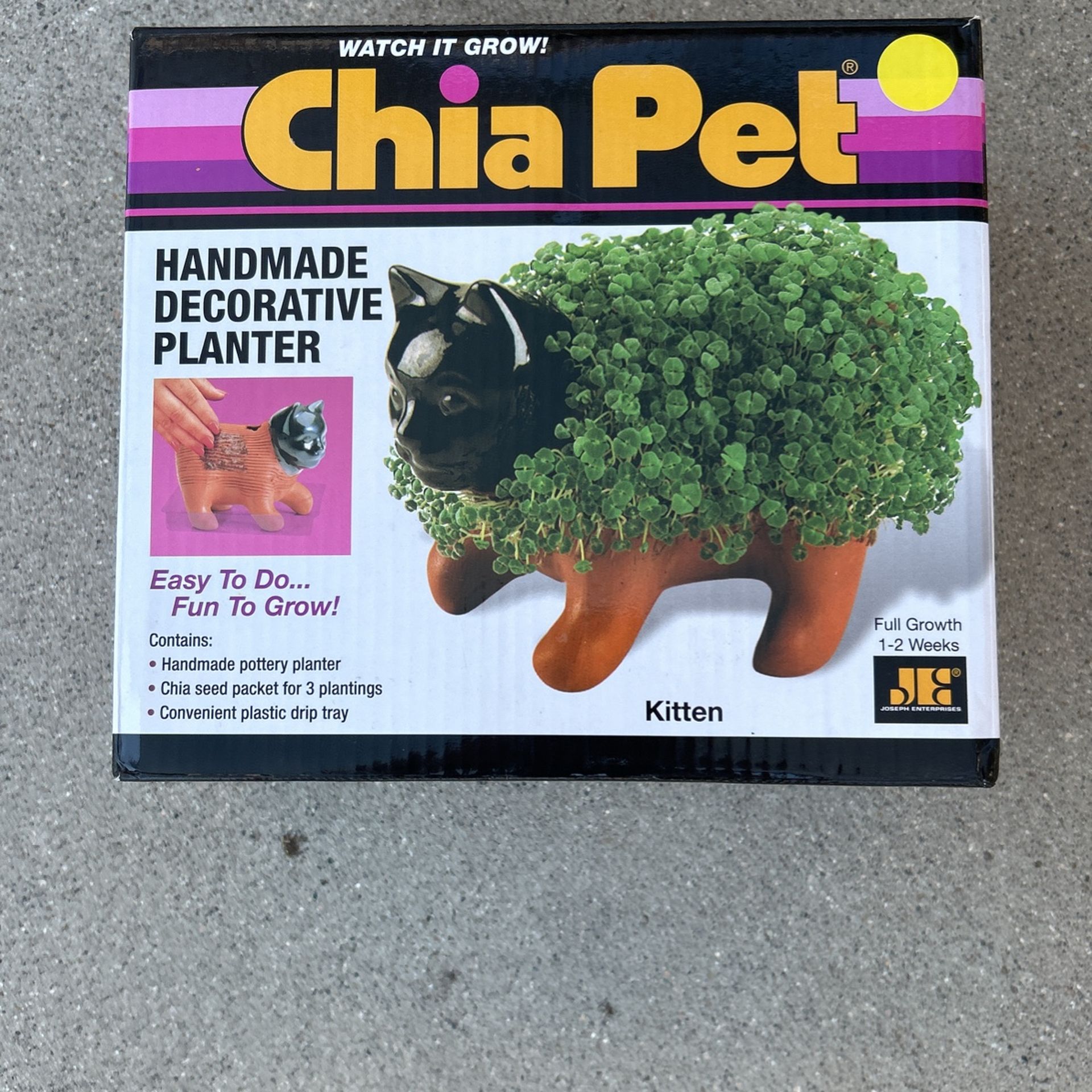 Chia Pet Kitten