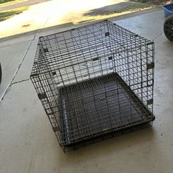 Rabbits Cage 