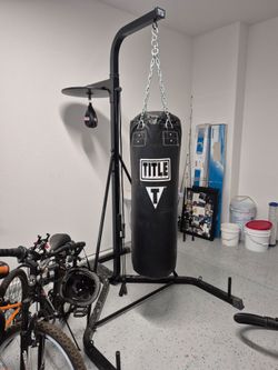 100 pd punching bag