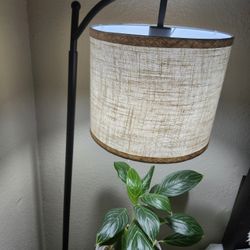 Floor Lamp 