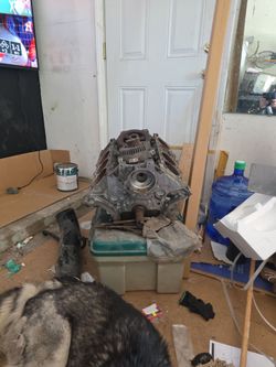 1999 mustang cobra engine block only $300