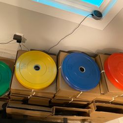 Kilogram Bumper Plates