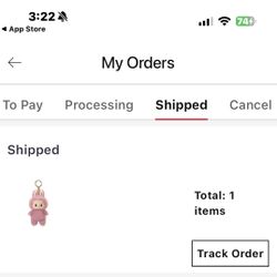 Exciting Macaron Lychee Labubu