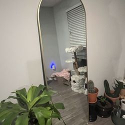 Floor Mirror