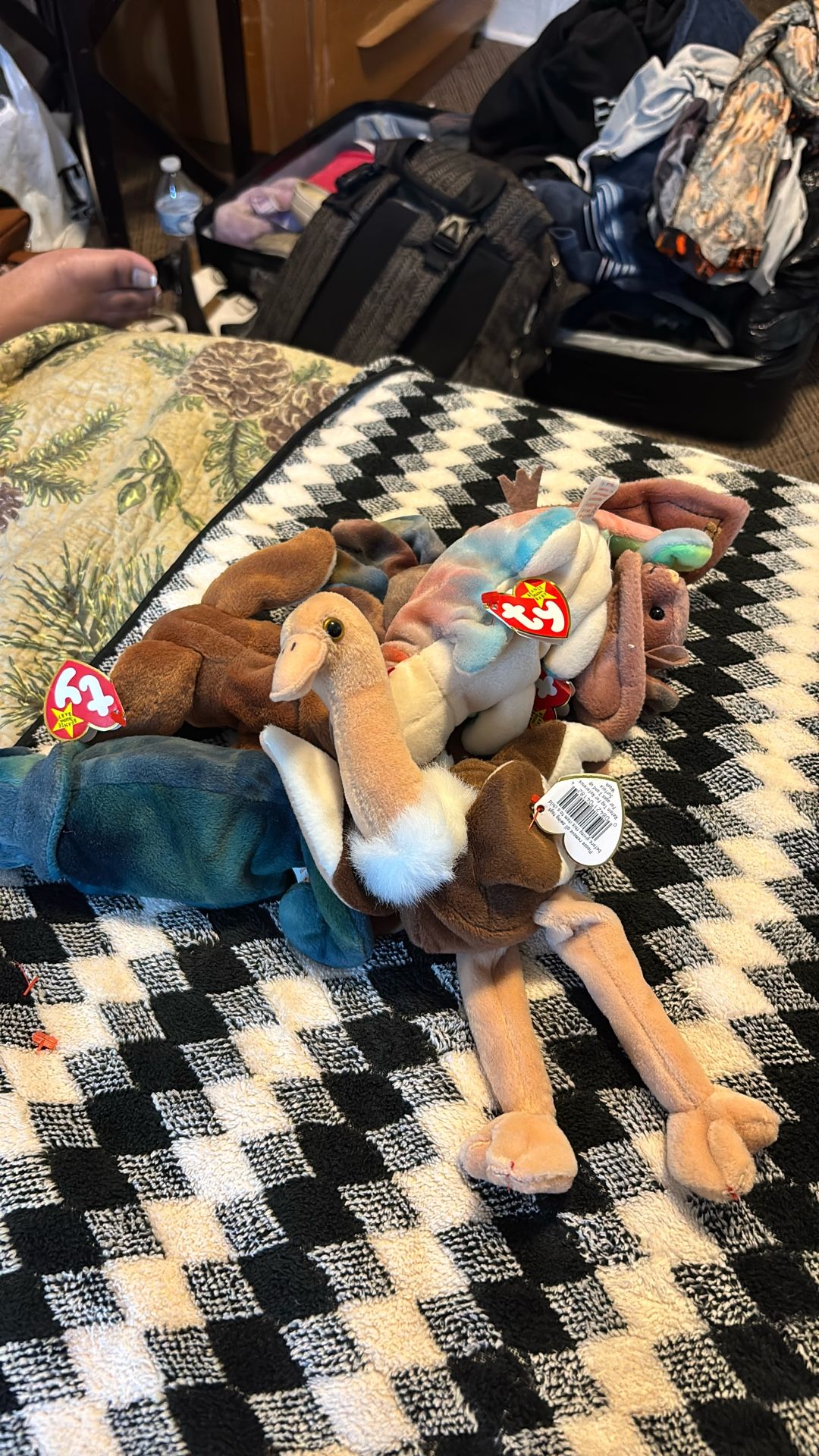 Original Beanie Babies