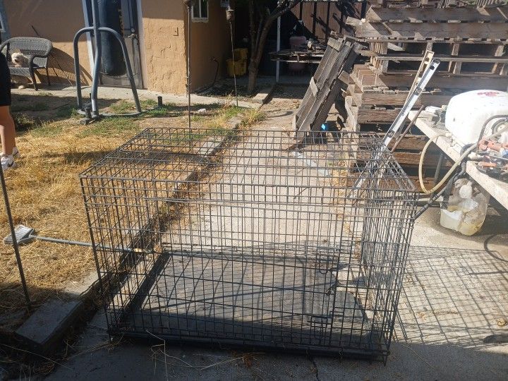 Dog Kennel 