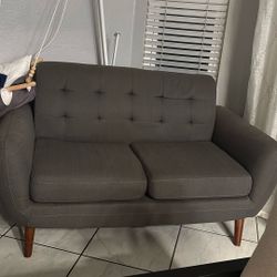 Dark Gray Couches